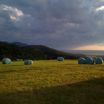 Katrin Frick, Psychologin