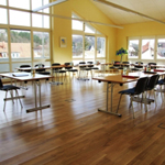 Katrin Frick, Psychologin